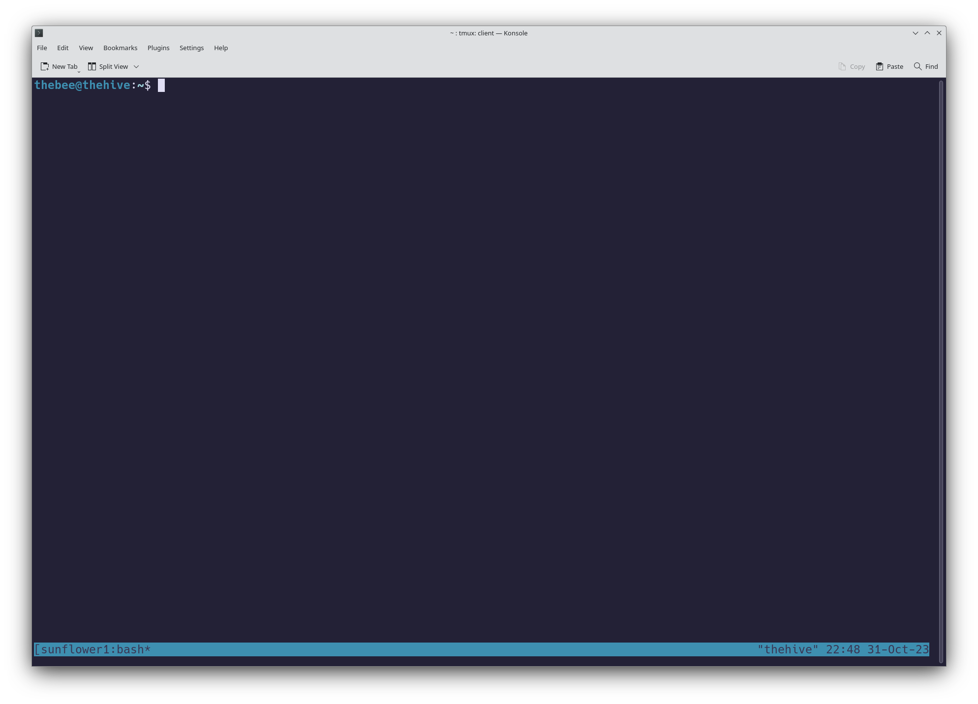 Tmux session